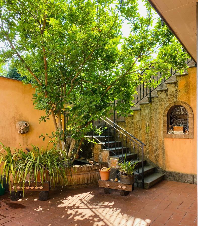 Villa Mariposa Nettuno Buitenkant foto