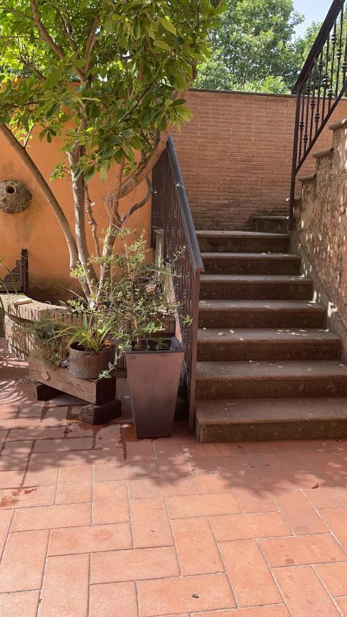 Villa Mariposa Nettuno Buitenkant foto